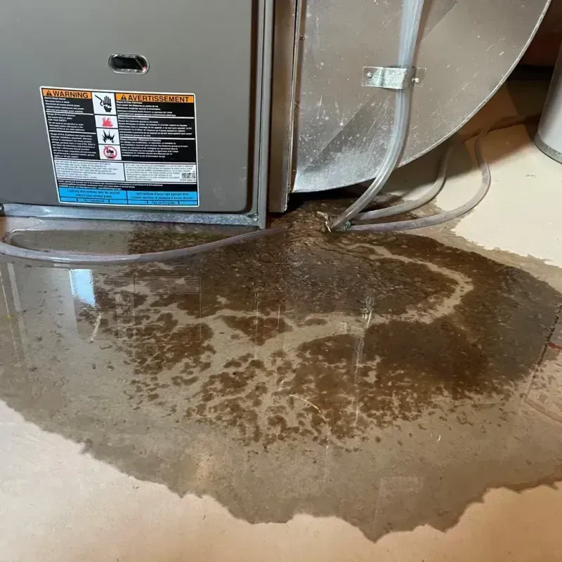 Appliance Leak Cleanup in Millwood, WA